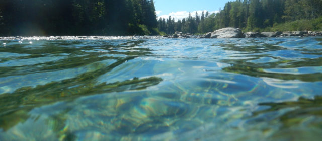 The River Camp is there to stay!